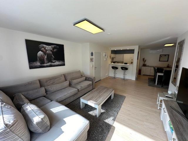 Appartement Anthony ブランケンベルヘ エクステリア 写真